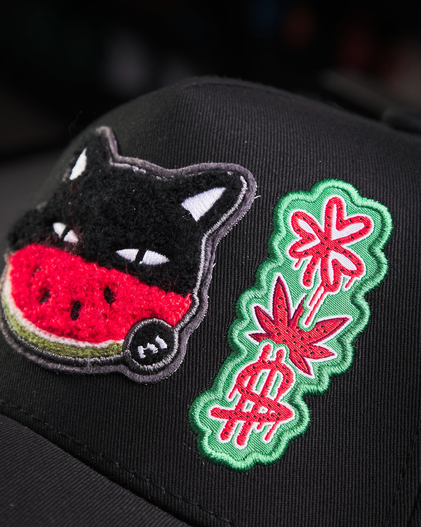 JC Hats - Watermelon Cat Black