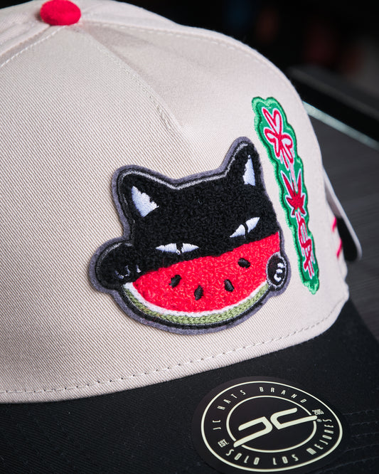 JC Hats - Watermelon Cat Black Beige