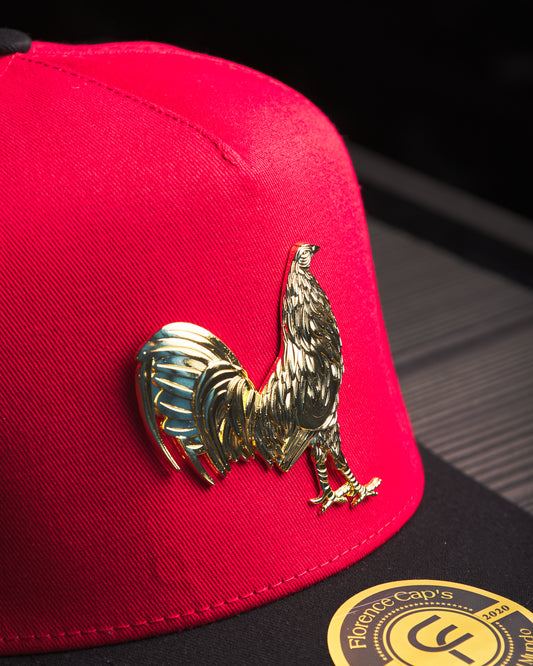 Florence Caps x Grupo Primer Grado - "Puestos Quince"