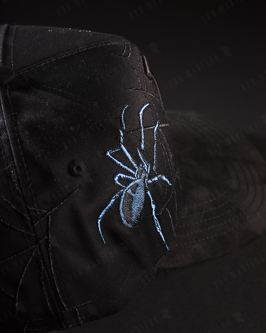 Gallo Fino “LA Spider”