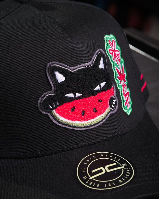 JC Hats - Watermelon Cat Black
