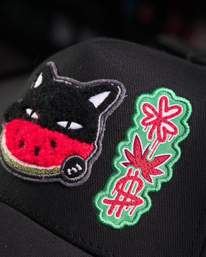 JC Hats - Watermelon Cat Black