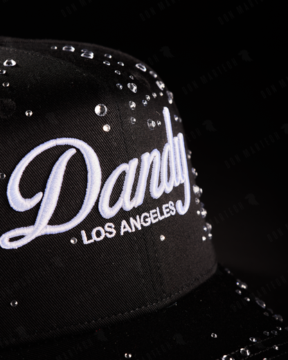 Dandy “Stargazing”