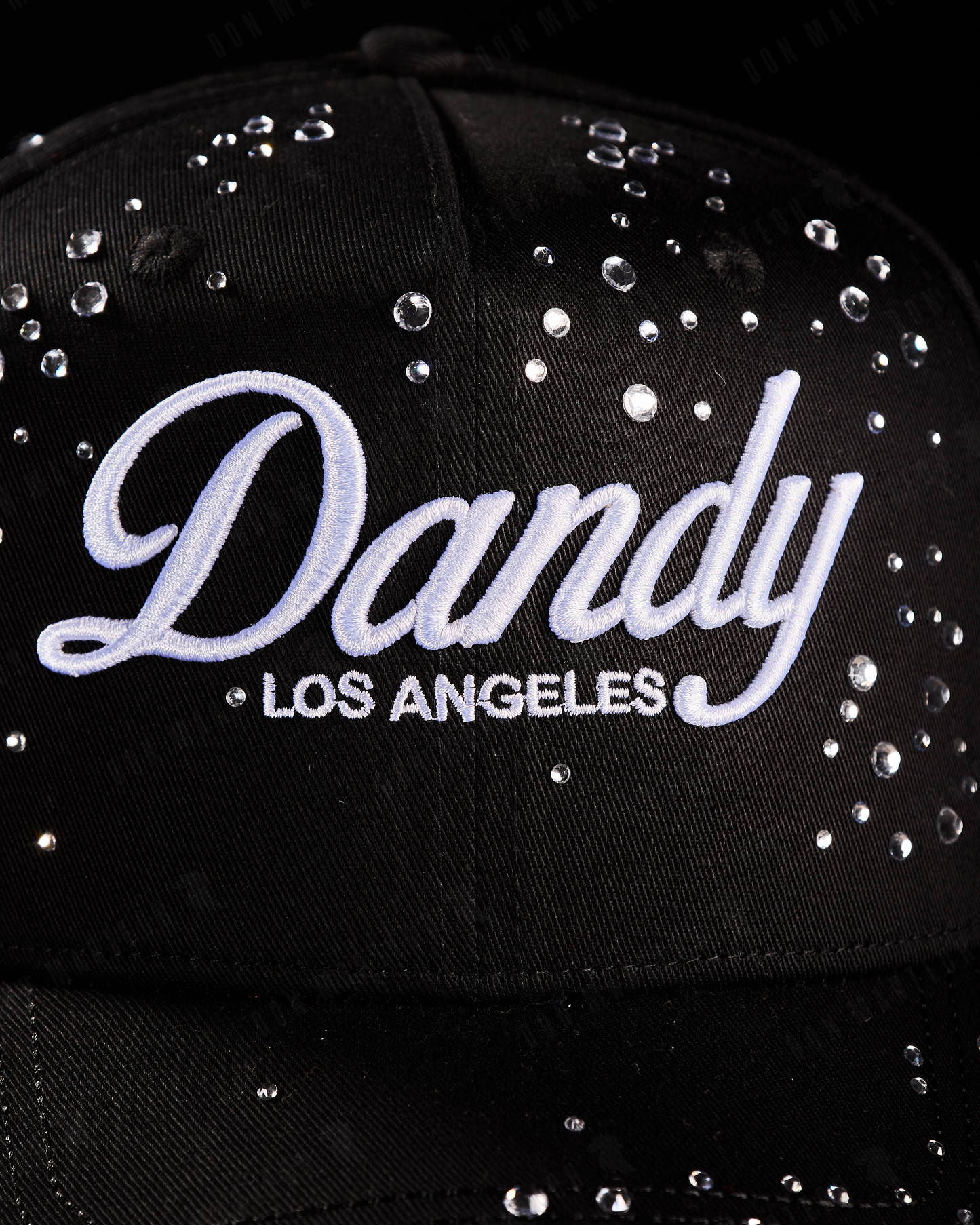 Dandy “Stargazing”