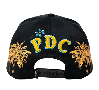 Problematic - DISTRIC PDC