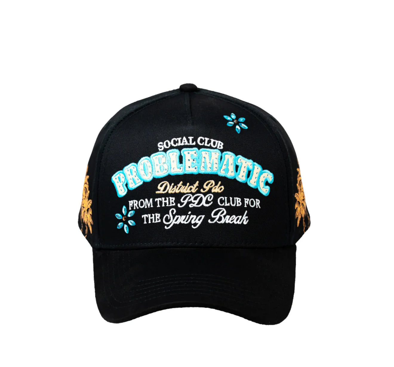 Problematic - DISTRIC PDC